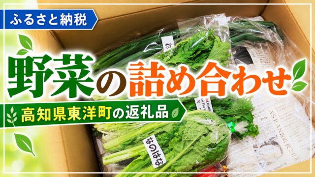 野菜 第１弾！高知県東洋町！内容充実で大満足の東洋町！ 2016年11月23日 もんちゃ https://monkichilife.com/wp/wp-content/uploads/2019/05/