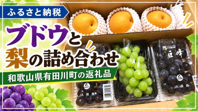 フルーツ 第15弾！和歌山県有田川町！ブドウ２種と梨の詰め合わせ♪