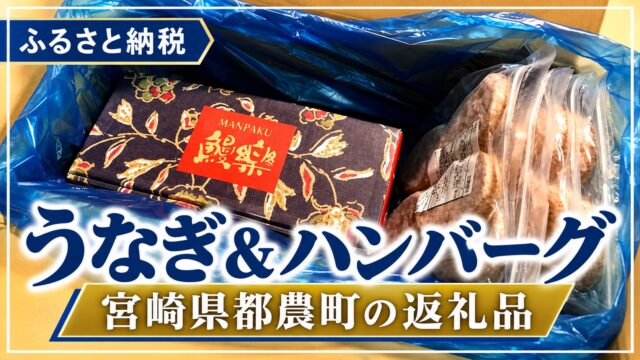うなぎ＆ハンバーグ 宮崎県都農町の返礼品