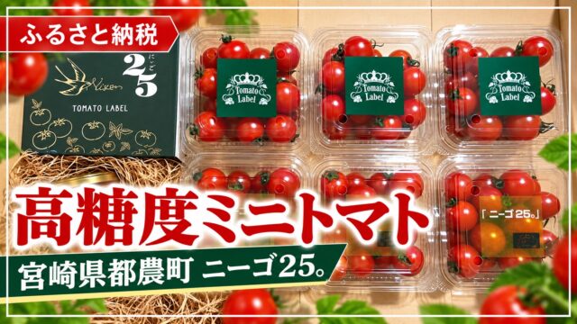 宮崎県都農町の高糖度ミニトマト「ニーゴ25。」の返礼品レビュー