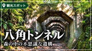 緑に囲まれた八角トンネルの風景
