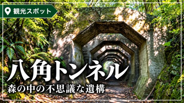 緑に囲まれた八角トンネルの風景