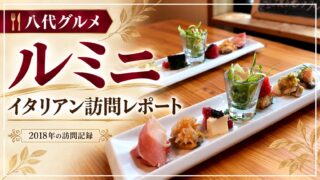 ルミニ イタリアン訪問レポート 2018年の訪問記録