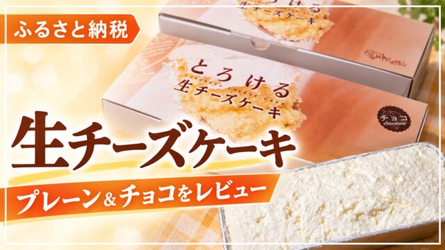 宮崎県川南町のとろける生チーズケーキ、プレーンとチョコのレビュー