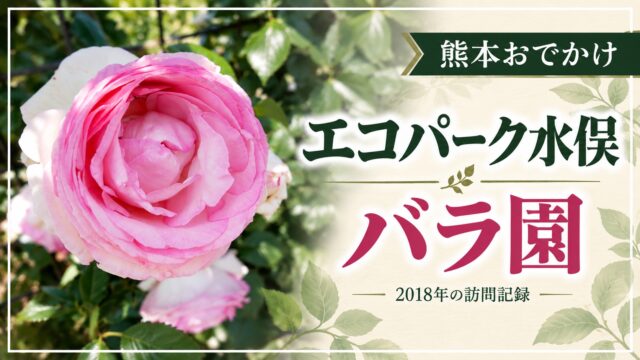 エコパーク水俣 バラ園 2018年の訪問記録