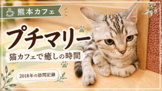 プチマリー 猫カフェで癒しの時間 2018年の訪問記録