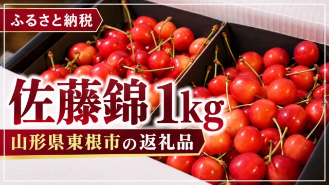 山形県東根市の返礼品、佐藤錦1kg