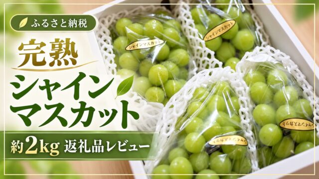 シャインマスカットのふるさと納税返礼品レビュー