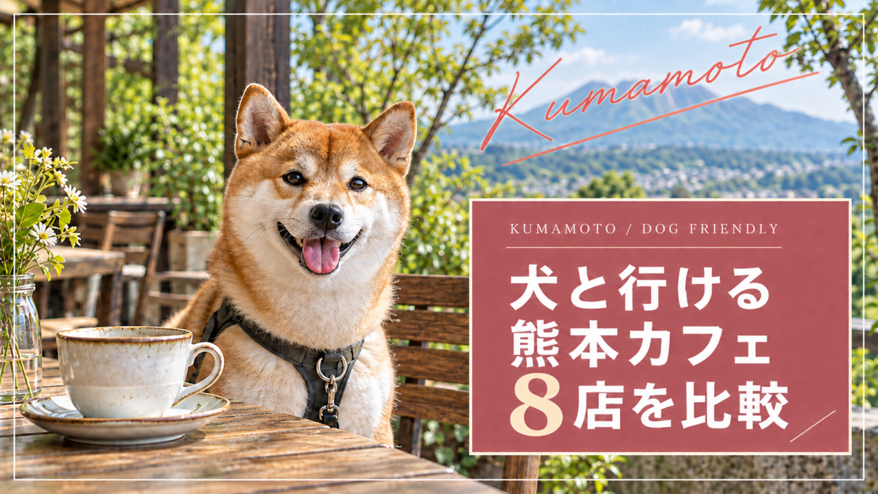 犬と行ける熊本カフェ8店を比較するアイキャッチ。犬とテラスの写真はイメージ画像。