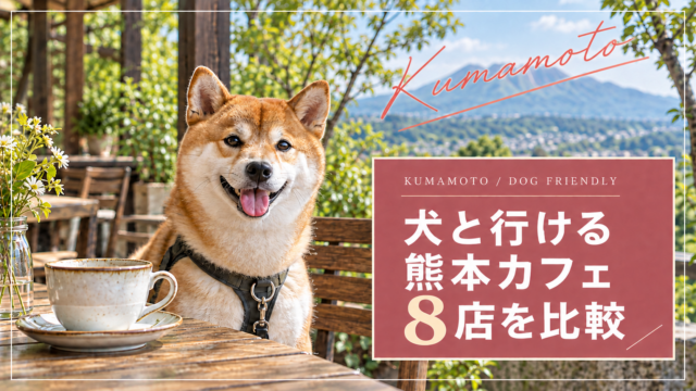 犬と行ける熊本カフェ8店を比較するアイキャッチ。犬とテラスの写真はイメージ画像。